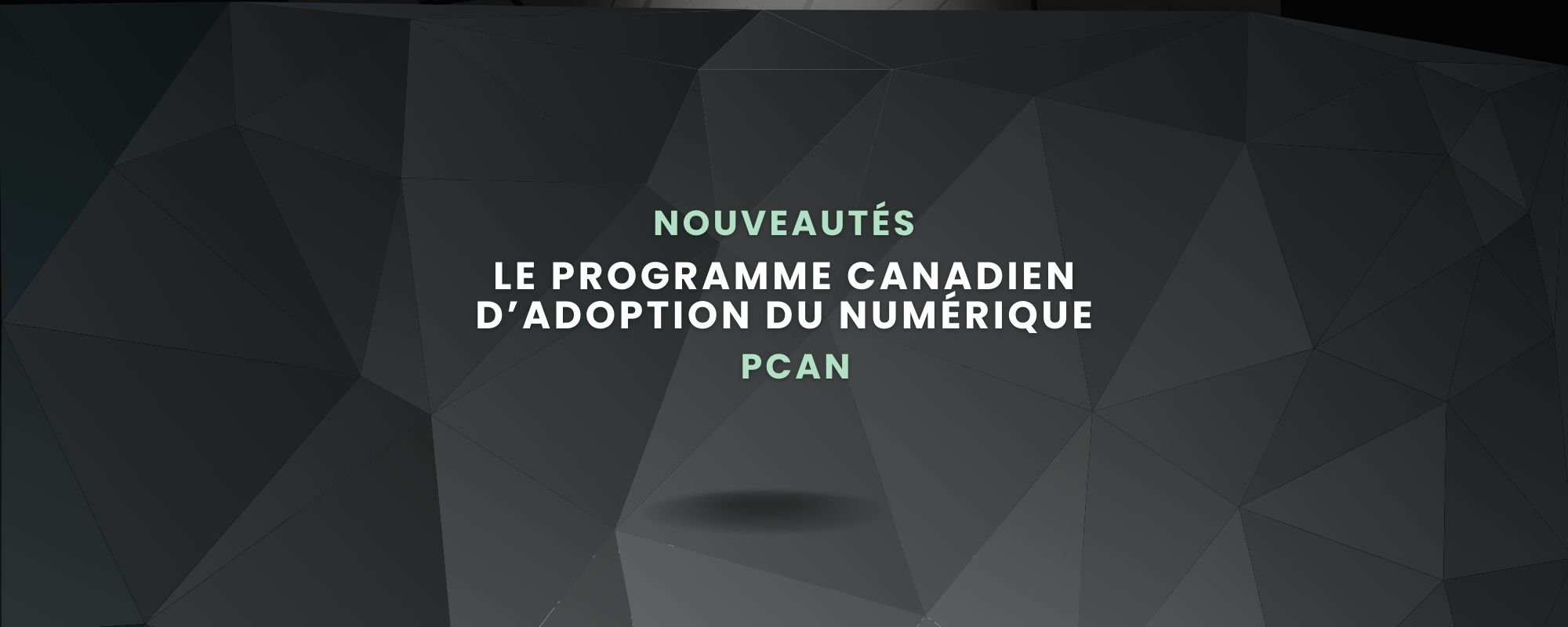 PCAN - Programme Canadien d'adoption du Numérique
