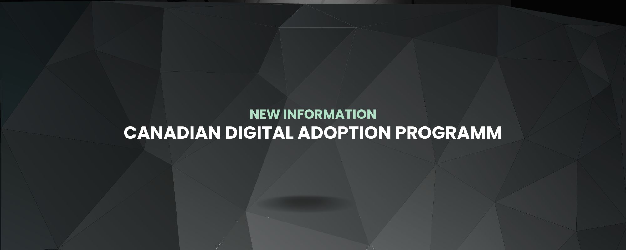 PCAN - Programme Canadien d'adoption du Numérique